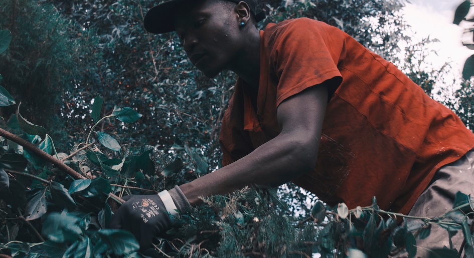 _anaya-katlego-MxKxs-RUXBE-unsplash